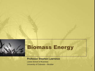 1
Biomass Energy
Professor Stephen Lawrence
Leeds School of Business
University of Colorado – Boulder
 