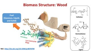 Biomass Energy definition and application | PDF
