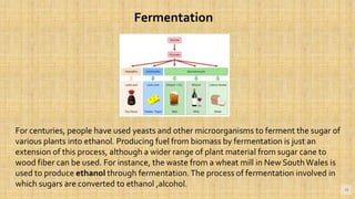 18
Fermentation
For centuries, people have used yeasts and other microorganisms to ferment the sugar of
various plants into ethanol. Producing fuel from biomass by fermentation is just an
extension of this process, although a wider range of plant material from sugar cane to
wood fiber can be used. For instance, the waste from a wheat mill in New SouthWales is
used to produce ethanol through fermentation.The process of fermentation involved in
which sugars are converted to ethanol ,alcohol.
 