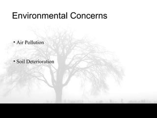 Environmental Concerns
• Air Pollution
• Soil Deterioration
 