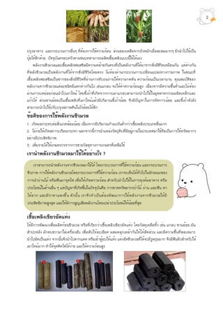 ปรุงอาหาร และกระบวนการอื่นๆ ที่ต้องการใช้ความร้อน ส่วนของเหลือจากถังหมักเมื่อสะสมมากๆ ยังนำไปใช้เป็น
ปุ๋ยได้อีกด้วย ปัจจุบันครอบครัวตามชนบทสามารถผลิตเชื้อเพลิงแบบนี้ใช้ได้เอง
พลังงานชีวมวลและเชื้อเพลิงฟอสซิลมีความคล้ายกันตรงที่เป็นพลังงานที่ได้มาจากสิ่งมีชีวิตเหมือนกัน แต่ต่างกัน
ที่พลังชีวมวลเป็นพลังงานที่ได้จากสิ่งมีชีวิตโดยตรง ไม่ต้องผ่านกระบวนการเปลี่ยนแปลงทางกายภาพ ในขณะที่
เชื้อเพลิงฟอสซิลเป็นซากของสิ่งมีชีวิตที่ผ่านการทับถมภายใต้ความกดดัน ความร้อนเป็นเวลานาน คุณสมบัติของ
พลังงานจากชีวมวลแต่ละชนิดมีแตกต่างกันไป เช่นแกลบ จะให้ค่าความร้อนสูง เนื่องจากมีความชื้นต่ำและไม่ต้อง
ผ่านการบดย่อยก่อนนำไปเผาไหม้ โดยขี้เถ้าที่เกิดจากการเผาแกลบสามารถนำไปใช้ในอุตสาหกรรมผลิตเหล็กและ
แก้วได้ ส่วนชานอ้อยเป็นเชื้อเพลิงที่เผาไหม้แล้วมีปริมาณขี้เถ้าน้อย จึงมีปัญหาในการจัดการน้อย และขี้เถ้าดังยัง
สามารถนำไปใช้ปรับปรุงสภาพดินในไร่อ้อยได้อีก
ข้อดีของการใช้พลังงานชีวมวล
1. เกิดผลกระทบต่อสิ่งแวดล้อมน้อย เนื่องจากมีปริมาณกำมะถันต่ำกว่าเชื้อเพลิงประเภทอื่นมาก
2. ไม่ก่อให้เกิดสภาวะเรือนกระจก นอกจากนี้การนำแหล่งวัตถุดิบที่มีอยู่ภายในประเทศมาใช้ถือเป็นการใช้ทรัพยากร
อย่างมีประสิทธิภาพ
3. เพิ่มรายได้ให้เกษตรกรจากการขายวัสดุทางการเกษตรที่เหลือใช้
เรานำพลังงานชีวมวลมาใช้ได้อย่างไร ?
เชื้อเพลิงเขียวอัดแท่ง
ได้มีการพัฒนาเพื่อผลิตก้อนชีวมวล หรือที่เรียกว่าเชื้อเพลิงเขียวอัดแท่ง โดยวัสดุเหลือทิ้ง เช่น แกลบ ชานอ้อย มัน
สำปะหลัง ผักตบชวามาใส่เครื่องสับ เพื่อสับให้ละเอียด ผสมคลุกเคล้ากันให้ได้สัดส่วน และมีความชื้นที่พอเหมาะ
นำไปอัดเป็นแท่ง จากนั้นจึงนำไปตากแดด หรือเข้าตู้อบให้แห้ง แท่งอัดชีวมวลที่ได้จะมีรูพรุนมาก จึงมีพืนผิวสำหรับให้
เผาไหม้มาก ทำให้จุดติดไฟได้ง่าย และให้ความร้อนสูง
เราสามารถนำพลังงานจากชีวมวลมาใช้ได้ โดยกระบวนการที่ใช้ความร้อน และกระบวนการ
ชีวภาพ การใช้พลังงานชีวมวลโดยกระบวนการที่ใช้ความร้อน เราจะเห็นได้ทั่วไปในลักษณะของ
การนำถ่านไม้ หรือฟืนมาจุดไฟ เพื่อให้เกิดความร้อน สำหรับนำไปใช้ในการหุงต้มอาหาร หรือ
ประโยชน์ในด้านอื่น ๆ แต่ปัญหาที่เกิดขึ้นในปัจจุบันคือ การขาดทรัพยากรป่าไม้ ถ่าน และฟืน หา
ได้ยาก และมีราคาแพงขึ้น ดังนั้น เราจึงจำเป็นต้องพัฒนาการใช้พลังงานจากชีวมวลให้มี
ประสิทธิภาพสูงสุด และให้มีการสูญเสียพลังงานโดยเปล่าประโยชน์ให้น้อยที่สุด
2
 