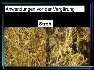 Stroh Anwendungen vor der Vergärung 