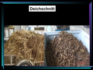 Deichschnitt 