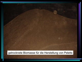 getrocknete Biomasse für die Herstellung von Peletts 