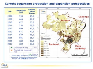 7,9
14,6
84,8
0
2
4
6
8
10
12
14
16
10
6
ha
0
10
20
30
40
50
60
70
80
90
(%)
Crop area (M ha) Acumulated expansion (%)
Crop area (M ha) 7,9 8,7 9,6 10,3 11,2 12,1 12,8 13,5 14,1 14,6
Acumulated expansion
(%)
15,8 21,5 30,4 41,8 53,2 62,0 70,9 78,5 84,8
2008 2009 2010 2011 2012 2013 2014 2015 2016 2017
Source: EPE, 2009 based on Municipal
Agricultural Research developed by IBGE
2006
Current sugarcane production and expansion perspectives
Year
Sugarcane
(Mt)
Ethanol
(billion
liters)
2008 553 25,6
2009 609 29,2
2010 677 33,5
2011 734 37,6
2012 800 42,3
2013 871 47,3
2014 929 51,5
2015 985 55,7
2016 1029 59,8
2017 1075 63,9
Source: EPE, 2009. PDE 2008-2017
Amazon
Pantanal
SavannaSavanna
Caatinga
Mata
Atlântica
 