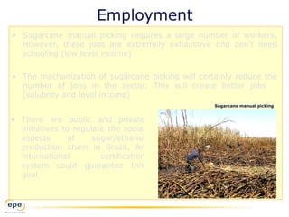 Employment
• Sugarcane manual picking requires a large number of workers.
However, these jobs are extremely exhaustive and don’t need
schooling (low level income)
• The mechanization of sugarcane picking will certainly reduce the
number of jobs in the sector. This will create better jobs
(salubrity and level income)
• There are public and private
initiatives to regulate the social
aspects of sugar/ethanol
production chain in Brazil. An
international certification
system could guarantee this
goal
Sugarcane manual picking
 