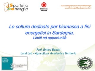 Le colture dedicate per biomassa a fini
energetici in Sardegna.
Limiti ed opportunità
Prof. Enrico Bonari
Land Lab – Agricoltura, Ambiente e Territorio
 