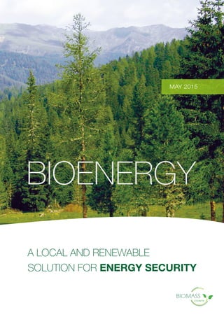 A LOCAL AND RENEWABLE
SOLUTION FOR ENERGY SECURITY
MAY 2015
BIOENERGY
 
