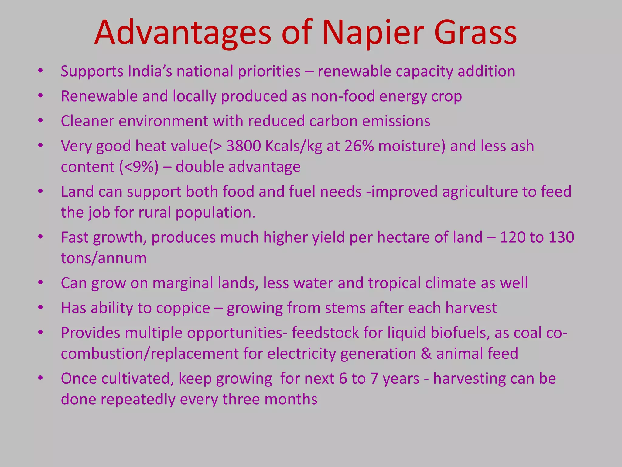 Advantages of Napier Grass
•   Supports India’s national priorities – renewable capacity addition
•   Renewable and locally produced as non-food energy crop
•   Cleaner environment with reduced carbon emissions
•   Very good heat value(> 3800 Kcals/kg at 26% moisture) and less ash
    content (<9%) – double advantage
•   Land can support both food and fuel needs -improved agriculture to feed
    the job for rural population.
•   Fast growth, produces much higher yield per hectare of land – 120 to 130
    tons/annum
•   Can grow on marginal lands, less water and tropical climate as well
•   Has ability to coppice – growing from stems after each harvest
•   Provides multiple opportunities- feedstock for liquid biofuels, as coal co-
    combustion/replacement for electricity generation & animal feed
•   Once cultivated, keep growing for next 6 to 7 years - harvesting can be
    done repeatedly every three months
 