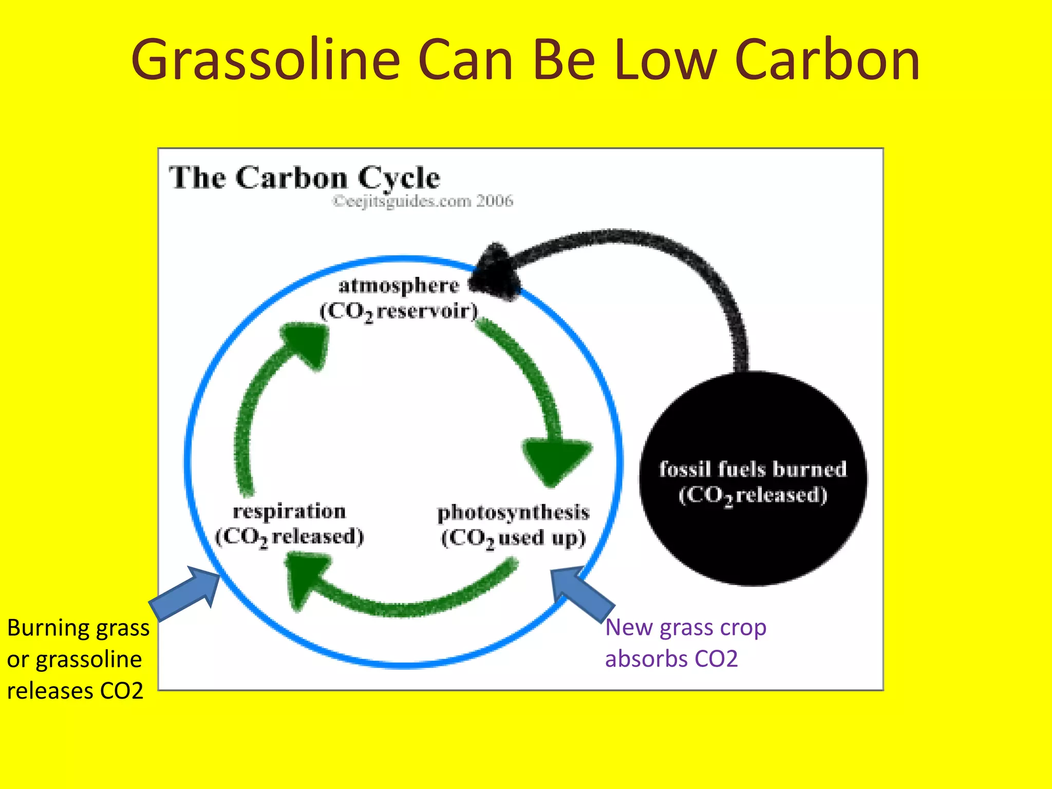 Grassoline Can Be Low Carbon




Burning grass              New grass crop
or grassoline              absorbs CO2
releases CO2
 