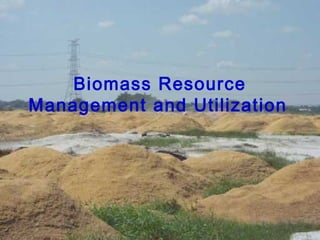 Biomass Resource
Management and Utilization
 