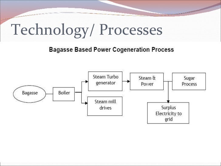 biomass electricity business plan