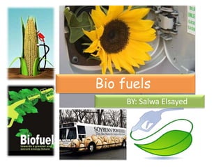 Bio fuels
BY: Salwa Elsayed
 