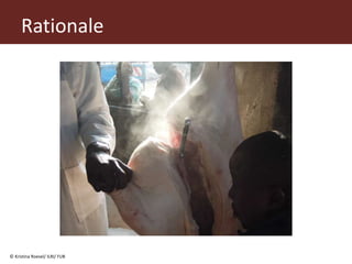 From (bio)mass to (bio)gas - or, how to best utilize urban slaughter waste