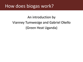 From (bio)mass to (bio)gas - or, how to best utilize urban slaughter waste