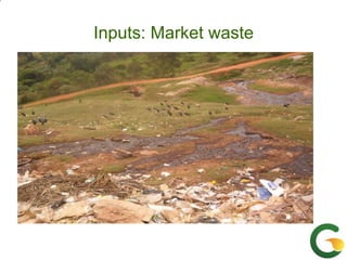 From (bio)mass to (bio)gas - or, how to best utilize urban slaughter waste