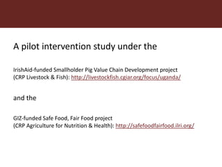 From (bio)mass to (bio)gas - or, how to best utilize urban slaughter waste