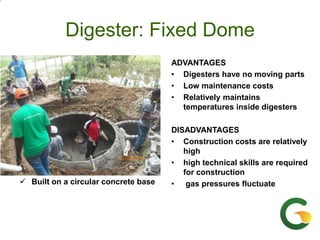 From (bio)mass to (bio)gas - or, how to best utilize urban slaughter waste