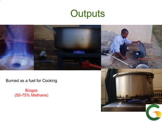 From (bio)mass to (bio)gas - or, how to best utilize urban slaughter waste