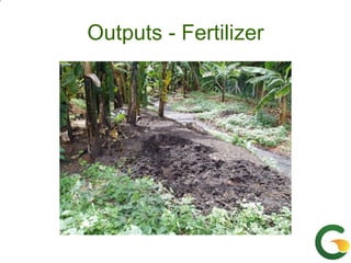 From (bio)mass to (bio)gas - or, how to best utilize urban slaughter waste