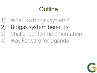 From (bio)mass to (bio)gas - or, how to best utilize urban slaughter waste