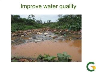 From (bio)mass to (bio)gas - or, how to best utilize urban slaughter waste