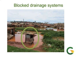 From (bio)mass to (bio)gas - or, how to best utilize urban slaughter waste