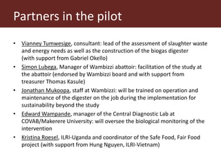 From (bio)mass to (bio)gas - or, how to best utilize urban slaughter waste