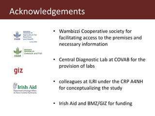 From (bio)mass to (bio)gas - or, how to best utilize urban slaughter waste
