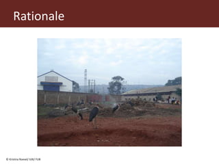 From (bio)mass to (bio)gas - or, how to best utilize urban slaughter waste