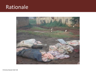 From (bio)mass to (bio)gas - or, how to best utilize urban slaughter waste