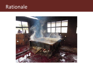 From (bio)mass to (bio)gas - or, how to best utilize urban slaughter waste