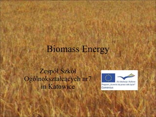 Biomass Energy Zespół Szkół Ogólnokształcących nr7 in Katowice 