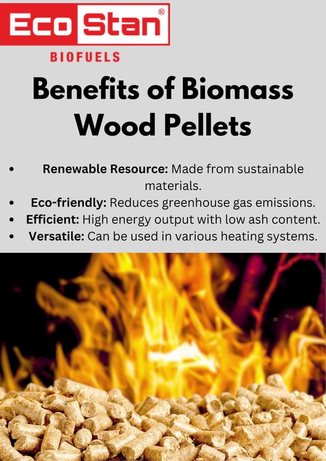 Biomass Wood Pellets: Sustainable Energy for a Greener Future | PDF