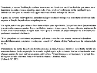 No entanto, a mesma fertilização também aumentou a atividade das bactérias do chão, que passaram a decompor matéria orgânica em ritmo acelerado. O que se observou foi uma perda significativa do carbono do solo para a atmosfera -2 kg por metro quadrado ao longo de 20 anos. A perda de carbono e nitrogênio de camadas mais profundas do solo para a atmosfera foi substancial e superou a fixação daquele elemento pelas plantas. Até agora, achava-se que a tundra fosse uma solução para o problema. A expectativa dos pesquisadores era que maiores concentrações de gás carbônico e maiores temperaturas fossem estimular as plantas do Ártico, transformando toda a região num "ralo" para o carbono em excesso lançado na atmosfera pela queima de combustíveis fósseis. "Essa pesquisa é extremamente importante, pois mostra que às vezes o senso comum não funciona quando lidamos com complexos ecossistemas terrestres", afirma o físico Paulo Artaxo, da Universidade de SP. O mecanismo da perda de carbono do solo ainda não é claro. Uma das hipóteses é que tenha havido um aumento da taxa de decomposição de material orgânico pela ação acelerada das bactérias do solo, mais eficazes quando há mais nutrientes, como o nitrogênio. "O próximo passo será entender o porquê de o nitrogênio ter um efeito tão forte sobre essas bactérias", afirmou Mack. (Folha de SP, 23/9) 