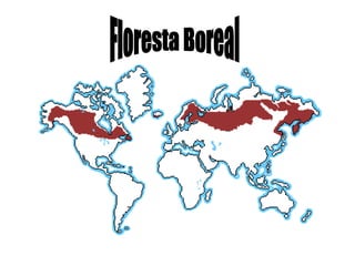 Floresta Boreal 