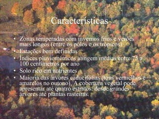 Características Zonas temperadas com invernos frios e verões mais longos (entre os pólos e os trópicos) Estações bem definidas Índices pluviométricos atingem médias entre 75 a 100 centímetros por ano Solo rico em nutrientes Maioria das árvores caducifólias (tons vermelhos e amarelos no outono). A cobertura vegetal pode apresentar até quatro estratos, desde grandes árvores até plantas rasteiras.  