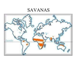 SAVANAS 