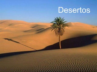 Desertos 