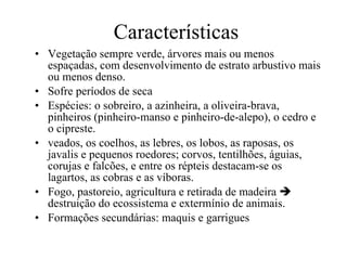 Características Vegetação sempre verde, árvores mais ou menos espaçadas, com desenvolvimento de estrato arbustivo mais ou menos denso.  Sofre períodos de seca Espécies: o sobreiro, a azinheira, a oliveira-brava, pinheiros (pinheiro-manso e pinheiro-de-alepo), o cedro e o cipreste.  veados, os coelhos, as lebres, os lobos, as raposas, os javalis e pequenos roedores; corvos, tentilhões, águias, corujas e falcões, e entre os répteis destacam-se os lagartos, as cobras e as víboras.  Fogo, pastoreio, agricultura e retirada de madeira    destruição do ecossistema e extermínio de animais. Formações secundárias: maquis e garrigues 