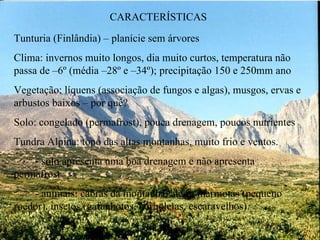 CARACTERÍSTICAS Tunturia (Finlândia) – planície sem árvores Clima: invernos muito longos, dia muito curtos, temperatura não passa de –6º (média –28º e –34º); precipitação 150 e 250mm ano Vegetação: líquens (associação de fungos e algas), musgos, ervas e arbustos baixos – por quê? Solo: congelado (permafrost), pouca drenagem, poucos nutrientes Tundra Alpina: topo das altas montanhas, muito frio e ventos. - solo apresenta uma boa drenagem e não apresenta permafrost  - animais: cabras da montanha, alces, marmotas (pequeno roedor), insetos (gafanhotos, borboletas, escaravelhos).  