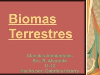 Biomas Terrestres Ciencias Ambientales Sra. R. Alvarado 11-12 Hecho por: Gabriela Irizarry 
