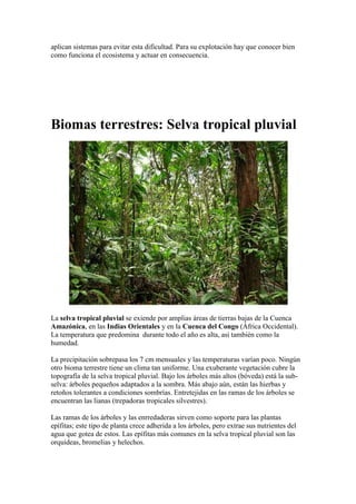 aplican sistemas para evitar esta dificultad. Para su explotación hay que conocer bien
como funciona el ecosistema y actuar en consecuencia.




Biomas terrestres: Selva tropical pluvial




La selva tropical pluvial se exiende por amplias áreas de tierras bajas de la Cuenca
Amazónica, en las Indias Orientales y en la Cuenca del Congo (África Occidental).
La temperatura que predomina durante todo el año es alta, asi también como la
humedad.

La precipitación sobrepasa los 7 cm mensuales y las temperaturas varían poco. Ningún
otro bioma terrestre tiene un clima tan uniforme. Una exuberante vegetación cubre la
topografía de la selva tropical pluvial. Bajo los árboles más altos (bóveda) está la sub-
selva: árboles pequeños adaptados a la sombra. Más abajo aún, están las hierbas y
retoños tolerantes a condiciones sombrías. Entretejidas en las ramas de los árboles se
encuentran las lianas (trepadoras tropicales silvestres).

Las ramas de los árboles y las enrredaderas sirven como soporte para las plantas
epífitas; este tipo de planta crece adherida a los árboles, pero extrae sus nutrientes del
agua que gotea de estos. Las epífitas más comunes en la selva tropical pluvial son las
orquídeas, bromelias y helechos.
 
