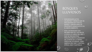BOSQUES
LLUVIOSOS
• SON BOSQUES ALTOS,
CALIENTES Y DENSOS QUE SE
ENCUENTRAN EN TODO EL
MUNDO Y SIRVEN PARA UN
PROPÓSITO SIGNIFICATIVO EN
EL MEDIO AMBIENTE.
• SON LOS BOSQUES QUE
RECIBEN MÁS DE 1000 MM DE
LLUVIA A LO LARGO DEL AÑO Y
QUE SE ENCUENTRAN
PRINCIPALMENTE ALREDEDOR
DE LA MITAD DE LA TIERRA,
CERCA DEL ECUADOR, COMO
AMÉRICA DEL SUR Y CENTRAL,
ÁFRICA, ASIA Y AUSTRALIA.
 
