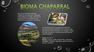 Esta zona templada llamada
chaparral se extiende en altitudes
intermedias en el lado oeste de los
continentes. Sus inviernos son
lluviosos y sus veranos son secos.
se caracteriza por su vegetación arbustiva
como formación dominante. En la mayoría de
las regiones estos arbustos son siempre verdes
de hojas pequeñas, coriáceas (esclerófilas) de
cutícula gruesa
Clima: 30-40 ° F.
Plantas: Cactus, roble, matorrales y arbustos.
Animales: Chacales, lagartijas, gatos monteses,
pumas, venados.
 