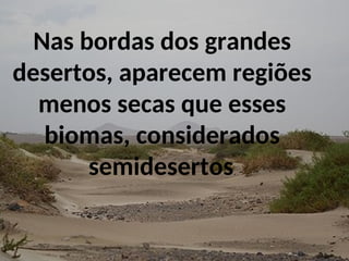 Nas bordas dos grandes
desertos, aparecem regiões
menos secas que esses
biomas, considerados
semidesertos.
 