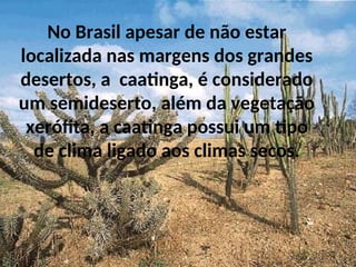 No Brasil apesar de não estar
localizada nas margens dos grandes
desertos, a caatinga, é considerado
um semideserto, além da vegetação
xerófita, a caatinga possui um tipo
de clima ligado aos climas secos.
 