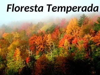 Floresta Temperada
Floresta Temperada
 