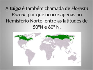 A taiga é também chamada de Floresta
Boreal, por que ocorre apenas no
Hemisfério Norte, entre as latitudes de
50°N e 60° N.
 