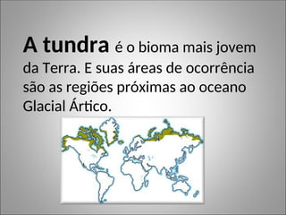A tundra é o bioma mais jovem
da Terra. E suas áreas de ocorrência
são as regiões próximas ao oceano
Glacial Ártico.
 